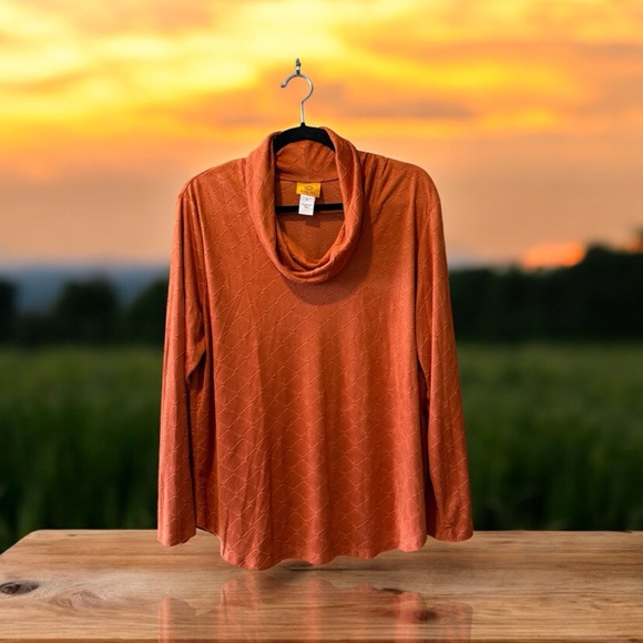 Ruby Rd. Rust Orange Cowl Neck Top - Picture 12 of 16